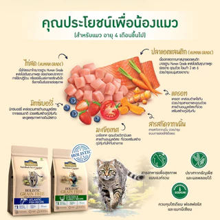 [ไซส์นี้คุ้มกว่า] Perfecta Holistic Grain Free อาหารแมว แมวโต ลูกแมว โฮลิสติก เกรนฟรี รส ไก่ ไก่งวง ปลา ขนาด 2.5 / 3kg