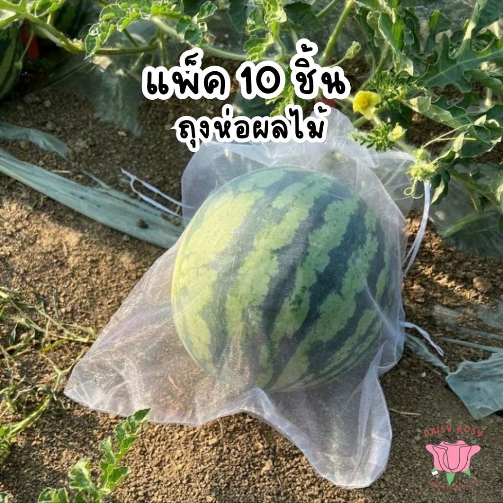ถุงตาข่าย บรรจุผลไม้ 10ชิ้นต่อแพ็ค ถุงตาข่ายกันแมลง ถุงอเนกประสงค์