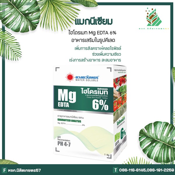 ไฮโดรเมท แมกนีเซียม EDTA 6% คีเลตแท้ 100% ชนิดผง ขนาด 1 กิโลกรัม