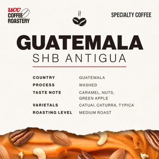 UCC Roastery - GUATEMALA SHB ANTIGUA COFFEE DRIP BAG กาแฟดริปแบบซอง (10g×5bags)