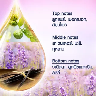 Ambi pur แอมบิเพอร์ เจล เฟรช Premium Parfum ดรีมมี่ 180 กรัม x10