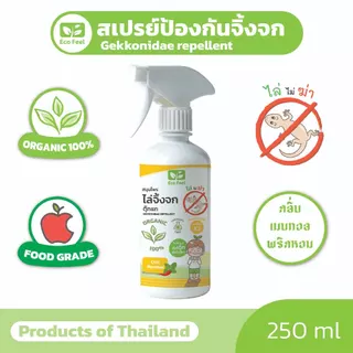 Eco Feel สเปรย์ไล่จิ้งจกตุ๊กแก สมุนไพร Organic100% 250ml ปลอดภัยต่อผู้ใช้,สัตว์เลี้ยง ไล่ไม่ฆ่า❌🪦