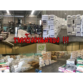 แพ็คละ 100ใบ ถุงห่อฝรั่ง ขนาด6X13 ตราดาว ไม่ใช้กระดาษ หนาพิเศษ แบบเจาะรูนำ้ไหลออกได้ ถุงห่อผลไม้ กันUV ราคาโรงงาน เกรดAA