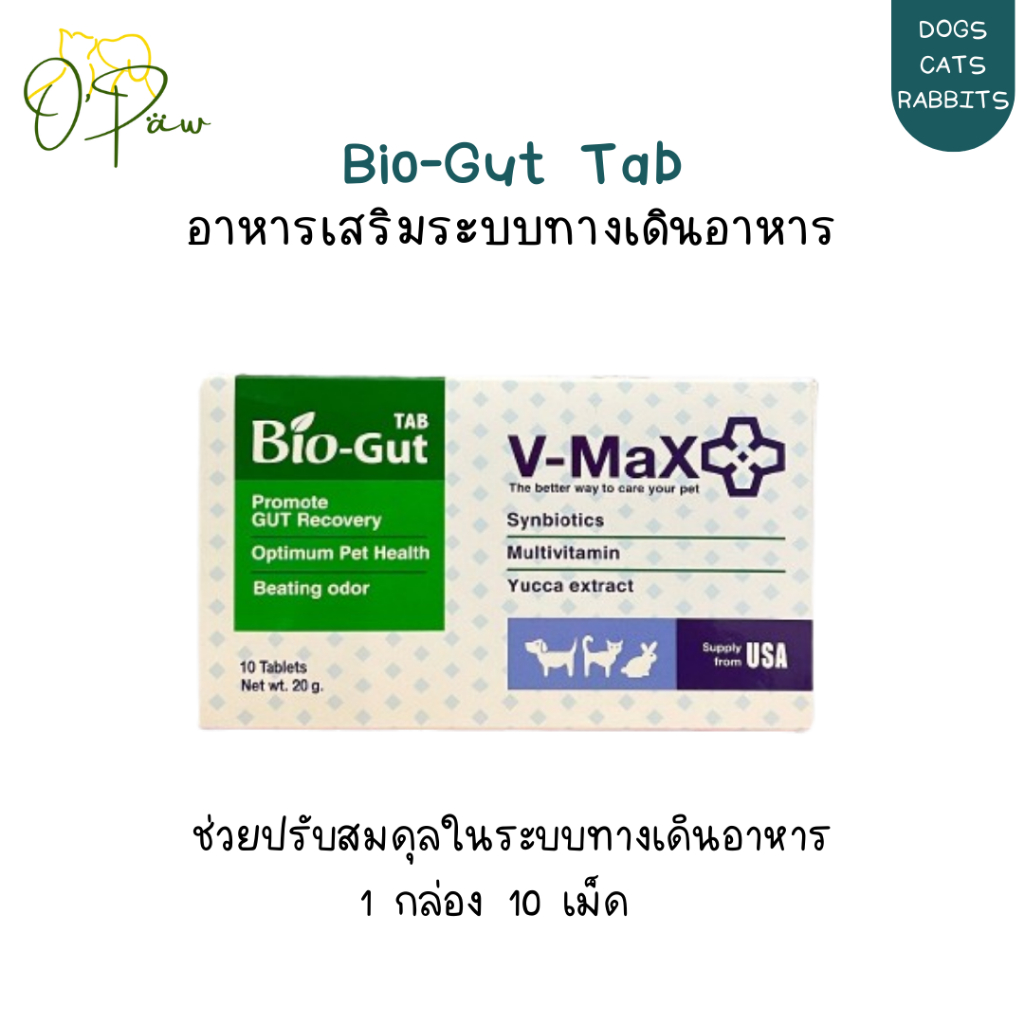 V-Max Bio Gut (Biogut) อาหารเสริมระบบทางเดินอาหาร ช่วยแก้ท้องเสีย ปรับสมดุลลำไส้ บรรจุ10เม็ด EXP2027