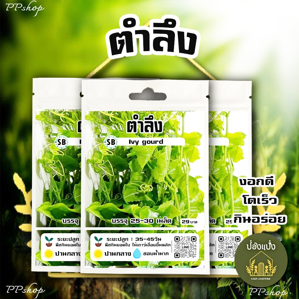 เมล็ดตำลึง  25-30เมล็ด/ซอง // PPshop