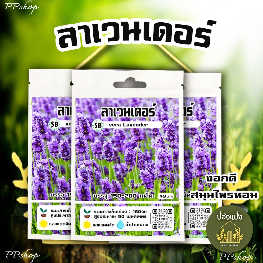 เมล็ดลาเวนเดอร์ 150-200 เมล็ด/ซอง // PPshop