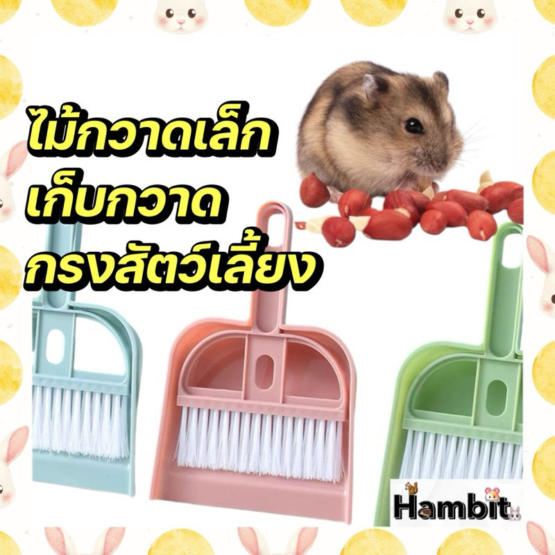 Hambit. ไม้กวาดเล็ก กวาดผงใต้โต๊ะ กวาดในกรงสัตว์เลี้ยง