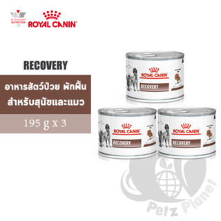 RECOVERY CAN อาหารสำหรับสุนัขและแมวป่วย/พักฟื้น/หลังผ่าตัด ขนาด195กรัม x 3กระป๋อง