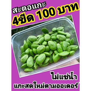 สะตอแกะเม็ด แก่มันทุกเม็ด ส่ง18กันยา66 ไม่ผ่านการแช่น้ำ ไม่ปนสะตออ่อน สะตอเม็ด สะตอฝัก #สะตอshopee