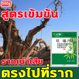 🍀ตรงไปที่ราก!!🍀ผงกำจัดต้นไผ่ ยาฆ่าตอไม้ 500g ยาฆ่าหญ้าเผาไหม้ มีประสิทธิภาพ วัชพืชไม่มีอีก ยาฆ่าหญ้า ยากำจัดต้นไม้