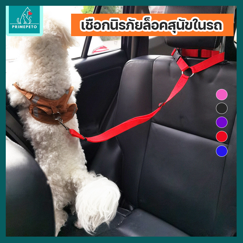 เชือกนิรภัยสัตว์เลี้ยงในรถ ล็อคตัวน้องเวลาเดินทาง เข็มขัดนิรภัยสุนัข แมว น้องไม่กวน ใช้ล็อคสุนัขในรถ
