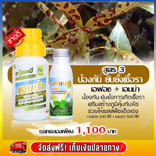 เอมม่า ปุ๋ยน้ำเอมม่า ( 500 ซีซี ) ป้องกันการเกิดเชื้อราในพืช + เอฟอช Aforch ( 100 ซีซี ) สารจับใบ ของแท้ 100%