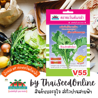 ADV ซฟ เมล็ดพันธุ์ เขียวน้อย กาดสร้อย เขียวสร้อยทอง ตราตะวันต้นกล้า V55