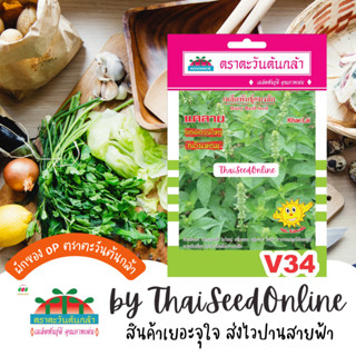 ADV ซฟ เมล็ดพันธุ์ แมงลักแคลาย อีตู่ ตราตะวันต้นกล้า V34