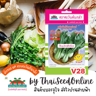 ADV ซฟ เมล็ดพันธุ์ กวางตุ้งฮ่องเต้ เชียงตุง ตราตะวันต้นกล้า V28