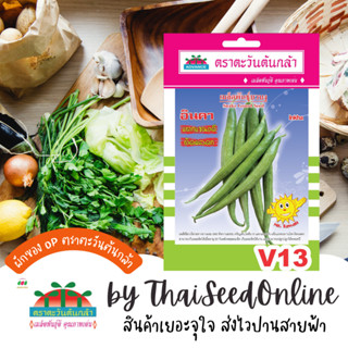 ADV ซฟ เมล็ดพันธุ์ บวบงู อินคา ตราตะวันต้นกล้า V13