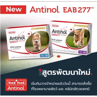 Antinol®️ EAB 277™ for Dogs กล่อง 60 เม็ด สูตรปรับปรุงใหม่ ของแท้มีสติ๊กเกอร์รับประกันหน้ากล่อง