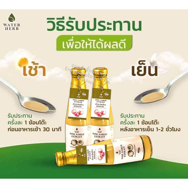 น้ำกระเทียมโทน สกัดเข้มข้น (WATERHERB) น้ำกระเทียมโทน ขิง มะนาว น้ำแอปเปิ้ลไซเดอร์ น้ำผึ้ง /ชุด 2ขวด - รูปที่ 4