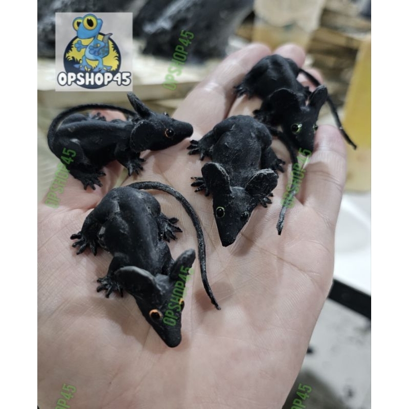 หนูปลอมจิ๋วจากยางพารา🐀🐀🐀