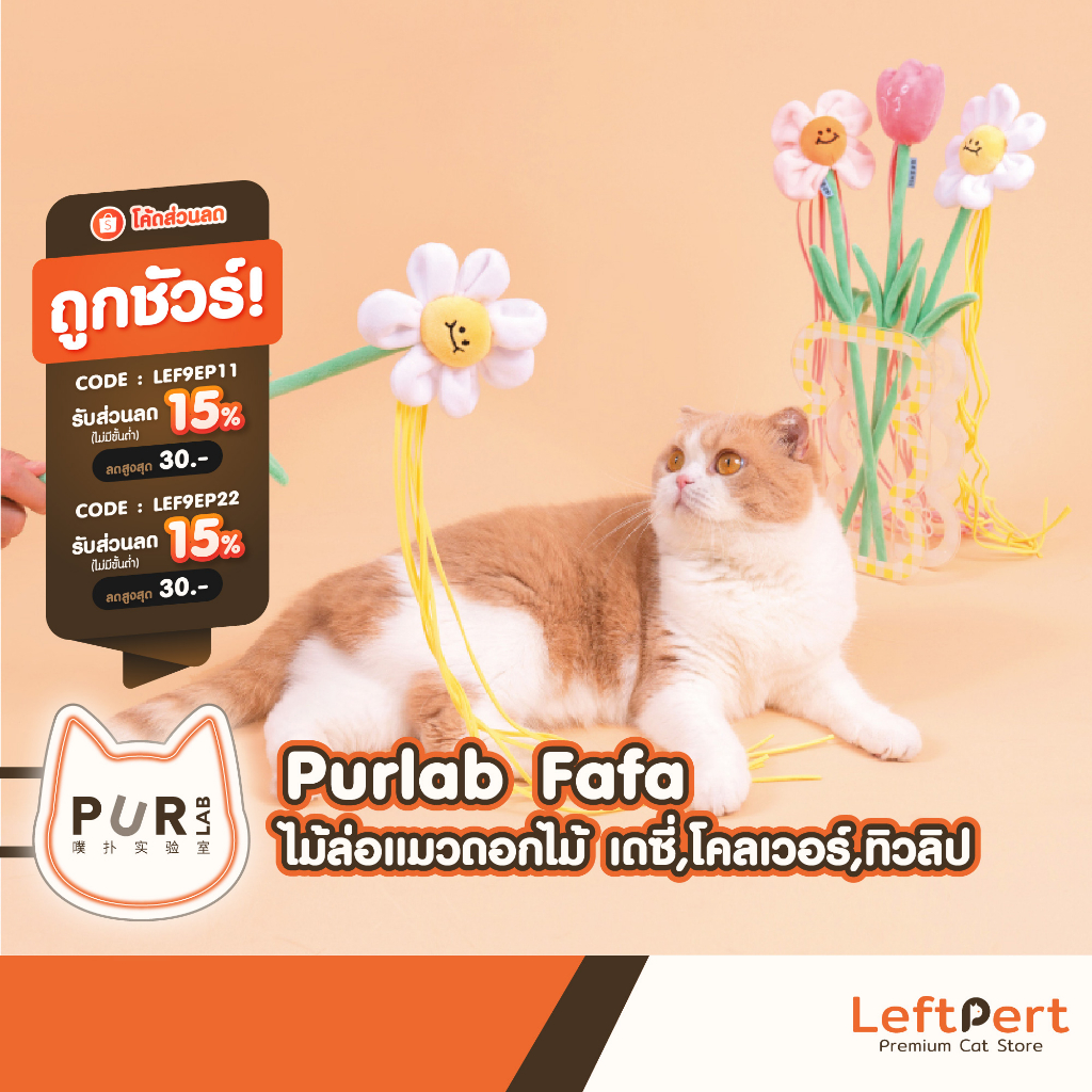 Purlab Fafa ไม้ล่อแมวดอกไม้