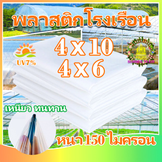 พลาสติกโรงเรือน พลาสติกใส พลาสติกคลุมโรงเรือน กันฝน greenhouse หนา150ไมครอน UV7% 4×10 โรงเรือนแคคตัส พลาสติกปูบ่อ กันสาด