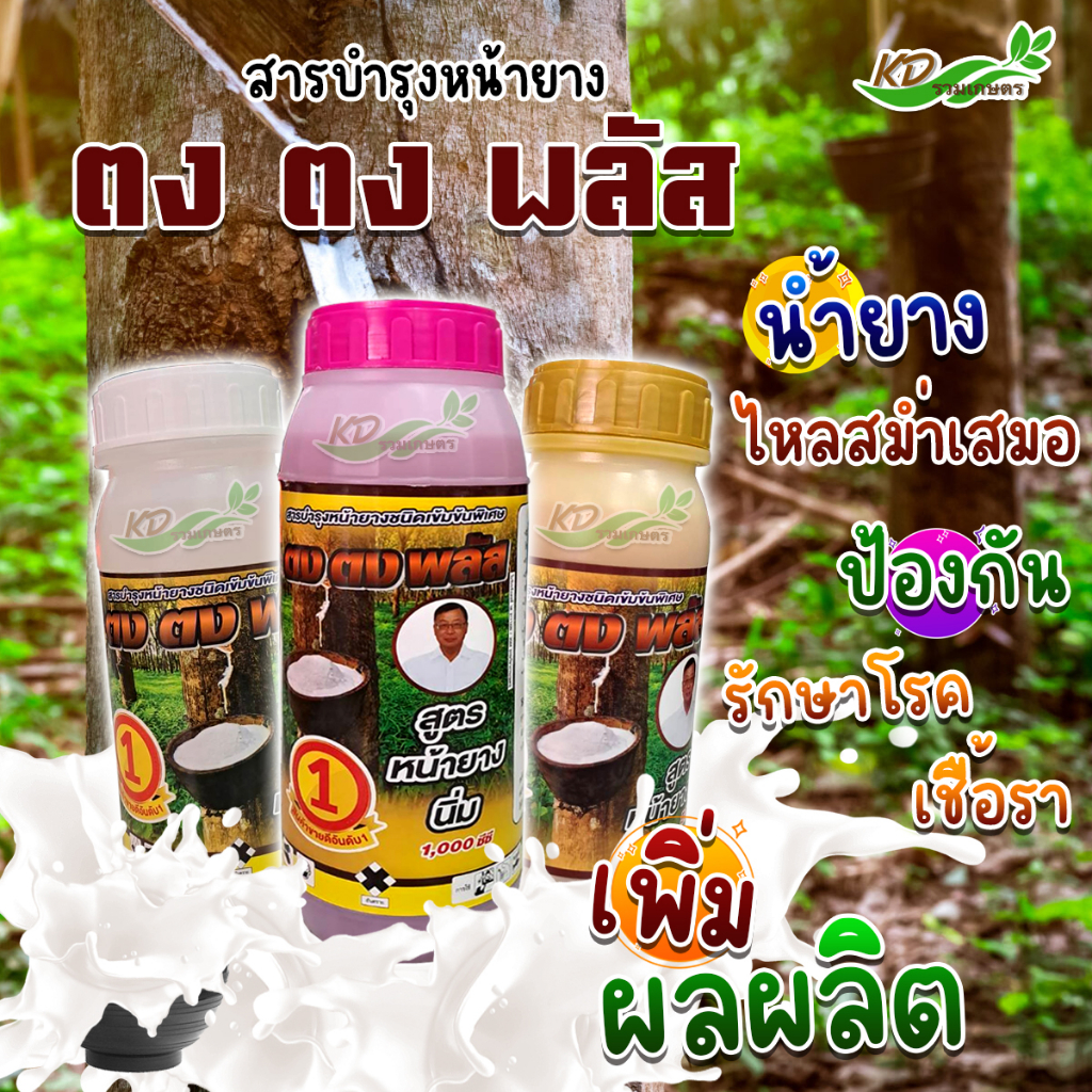 ยาทาหน้ายาง ตงตง พลัส (สูตร หน้ายางนิ่ม) บำรุง ป้องกันโรค  ฟื้นฟู กรีดง่าย ต้นไม่โทรม หน้ายางเรียบสวย
