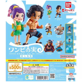 (กาชาปอง) แท้100% First Naval Battle vol.7 ผลไม้ปีศาจ Blox Fruit Devil Fruit Gashapon From TV Animation แมวทอง One piece