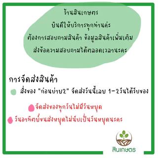 เมล็ดถั่วฝักยาวดกพิจิตร ขนาด 500กรัม ถั่วเนื้อ ล็อตใหม่ 290868 หมดอายุ 13/06/70
