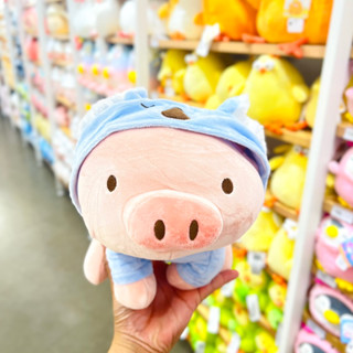 หมูใส่หมวกโคอาล่า จาก miniso ขนาด 26 cm