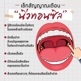 นิ่วทอลซิล อุปกรณ์กำจัดนิ่วทอมซิล ก้อนเหม็นในปากนิ่วทอนซิล อุปกรณ์ครบใช้ง่าย tonsil stone remover ไฟฉายมีถ่านให้ครบ NEW