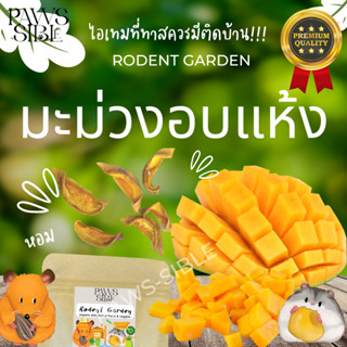 [Paws-sible] Organic Mango มะม่วงอบแห้งออแกนิก
