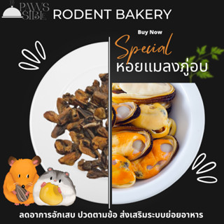 [Paws-sible] Rodent Bakery: Dried Green Lipped Mussels