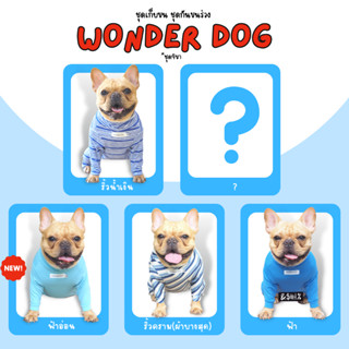 ชุดเก็บขน wonder dog เสื้อสุนัข เสื้อแมว ชุดกันขนร่วงสุนัข ชุดสัตว์เลี้ยง โทนฟ้า