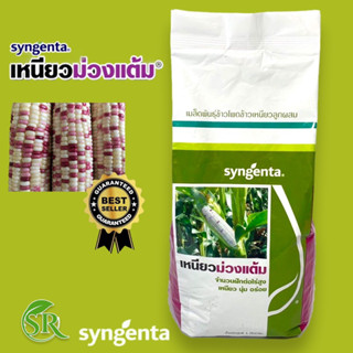 เมล็ดพันธุ์ ข้าวโพดข้าวเหนียว ม่วงแต้ม ตรา ซินเจนทา 1 กก. syngenta