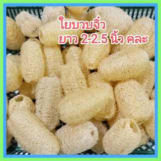 [5 ลูก / 2-2.5 นิ้วคละ ] ใยบวบขัดหน้า ใยบวบขัดผิว ใยบวบธรรมชาติ ใยบวบจิ๋ว ... พร้อมส่ง