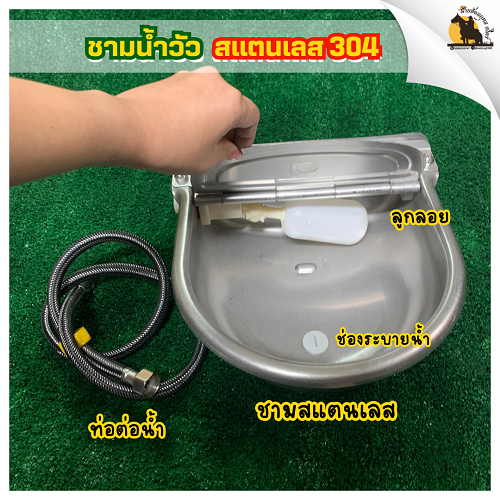 อ่างให้น้ำวัว อัตโนมัติ สแตนเลส ไม่เป็นสนิม มีลูกลอยเปิด/ปิดเองได้ - นายฮ้อยยุทธสโตร์