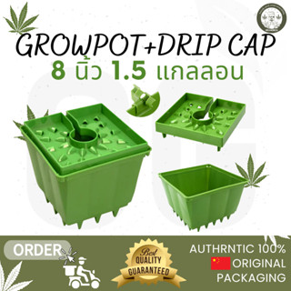 Grow pot +  Drip cap | กระถาง+ฝาขนาด 8 นิ้ว เหมาะสำหรับปลูกต้นไม้ทรงสูงที่ต้องการพื้นที่รากใหญ่เพื่อการเจริญเติบโตที่ดี