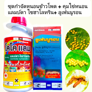 ชุด กำจัดหนอน และ คุมไข่หนอน ข้าวโพด แลมบ์ดา ไซฮาโลทริน 1 L + ลูเฟนนูรอน 500 ccกำจัดหนอนกระทู้ หนอนเจาะ หนอนชอนใบ คุมไข่