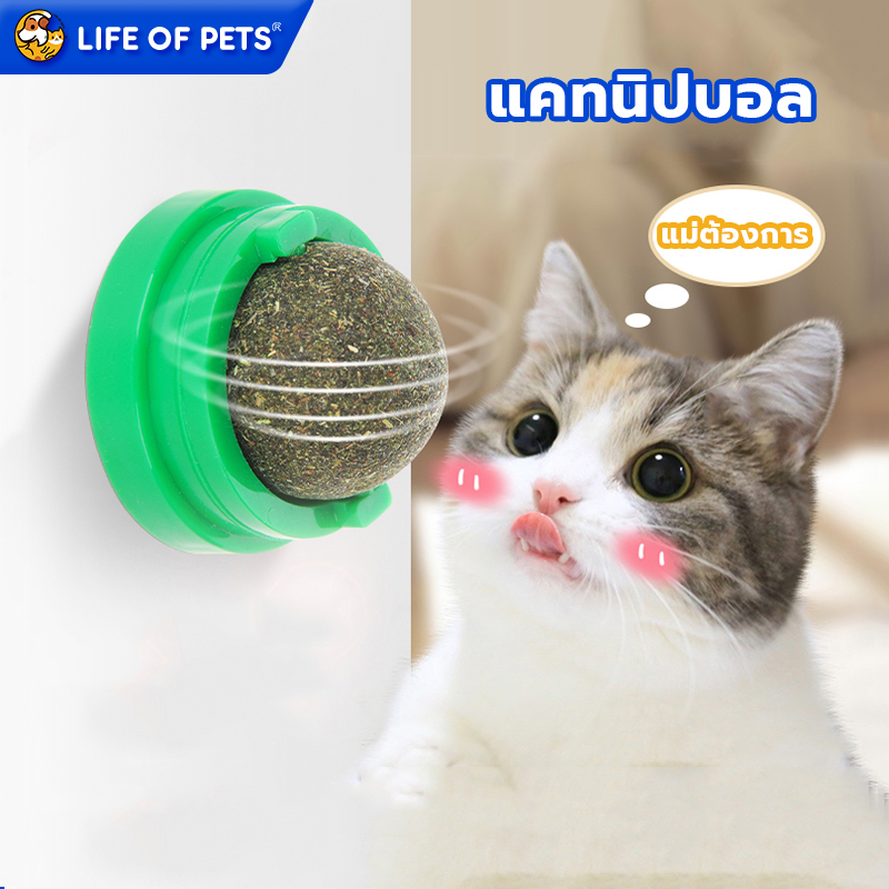 แคทนิปบอล Catnip Ball กัญชาแมว ขนมแมว ของเล่นแมวเลีย แปะกำแพง ball herb กัญชาบอล สมุนไพรแมวเลียหมุ่นได้ ปลอดภัย 100%