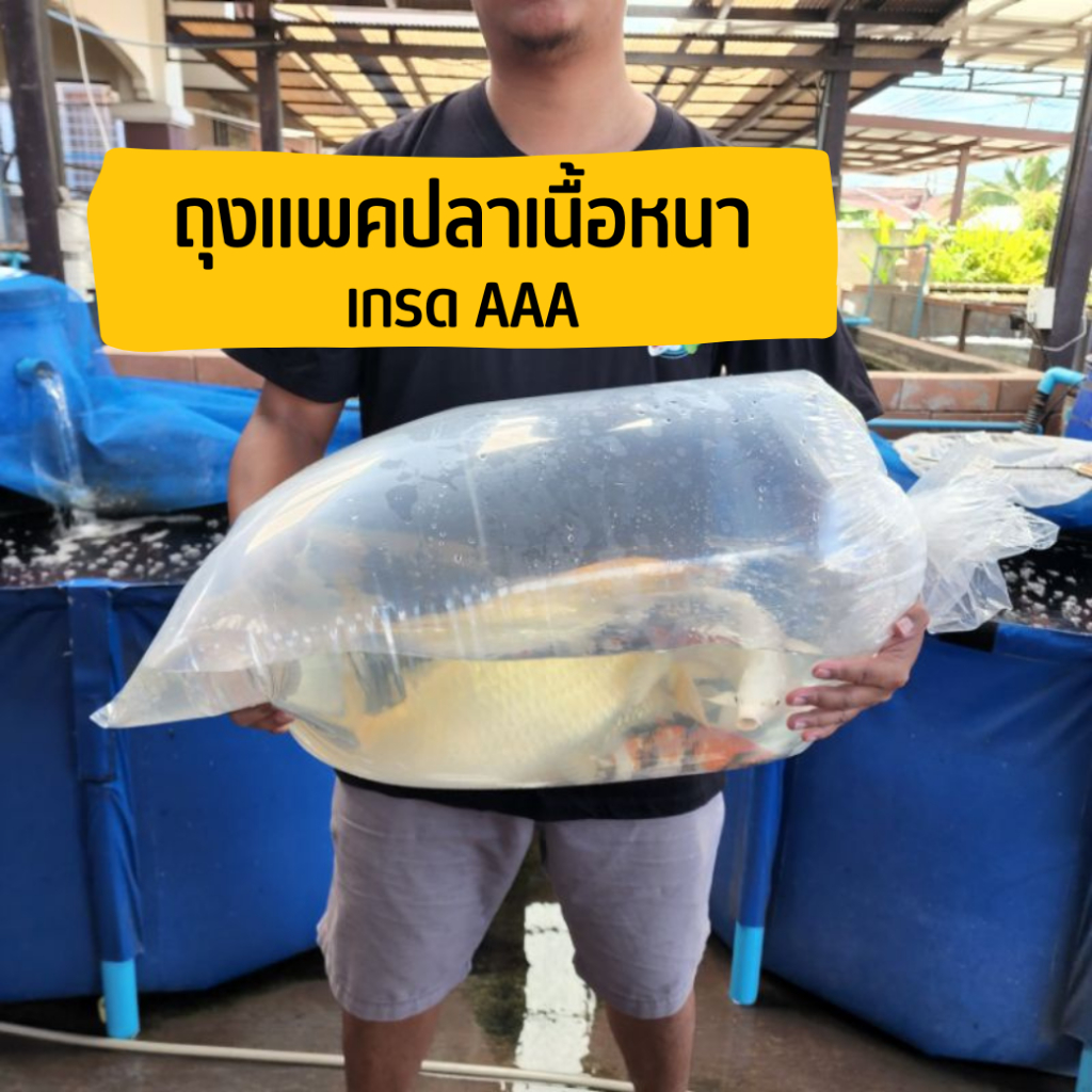 🔥ถุงแพคปลา ดีที่สุด 🔥  มีหลายขนาด แพคปลาสวยงาม เนื้อหนา ไม่ขาดง่าย เหนียว ทน  เกรด AAA หนัก 0.5 kg และ 1 kg
