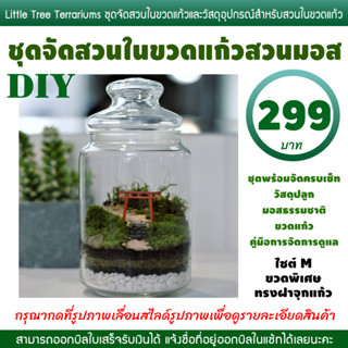 สวนในขวดแก้ว DIY มอสธรรมชาติ 299 บาท ไซต์ M ขวดพิเศษ ทรงฝาจุกแก้ว