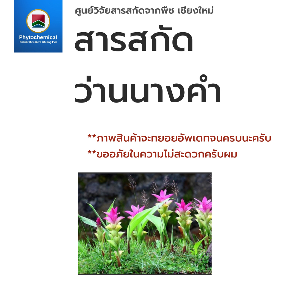 #สารสกัดว่านนางคำ #สารสกัดสมุนไพร #จากธรรมชาติ #ผลิตในไทย #ปลอดภัยไร้สารเติมแต่ง