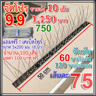 จัดโปร 9.9 หนามกันนก เข็มสเตนเลส ฐานสเตนเลส เกรดพรีเมี่ยม 10 เส้น (ประกอบเสร็จมาจากโรงงาน พร้อมใช้งาน เข็มแน่นไม่โยกเยก)