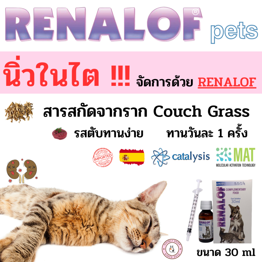 🔥ทักแชทมีโค้ดลด💲 *Renalof pets *วิตามิน แมว หมา สำหรับโรคนิ่ว ไต นิ่วในกระเพาะปัสสาวะ ช่วยบรรเทากระเ