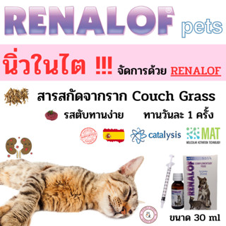 Renalof pets รีนาลอฟ เพท ช่วยสลายนิ่วในไต นิ่วในกระเพาะปัสสาวะ ช่วยบรรเทากระเพาะปัสสาวะอักเสบ