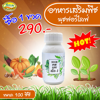 🔥 เน็ก-1 🔥 ( 2 ขวด ขนาด 100 ซีซี ) แตกรากแตกใบใหม่ ขยายลำต้น ทำให้ติดดอกออกผลมากขึ้น ป้องกันเชื้อรา นุชฟอร์ไลฟ์
