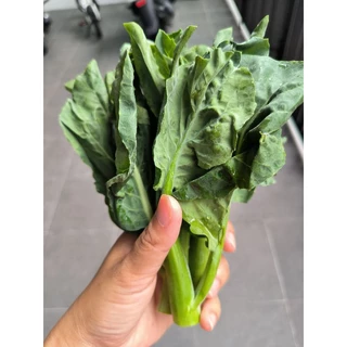 เมล็ดคะน้าฮ่องกง 500 เมล็ด(ซื้อ5แถม1คละได้)