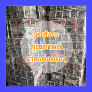 กรงดักหนู กับดักหนูแบบดี แข็งแรงมาตรฐาน มี 2 ไซส์