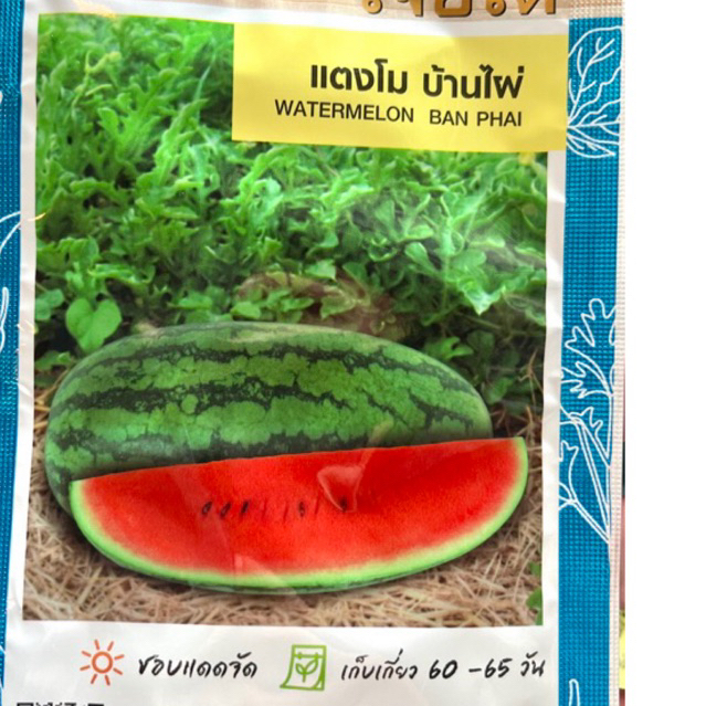เจียไต๋ แตงโมแดง พันธุ์บ้านไผ่ (ประมาณ 50 เมล็ด) pro