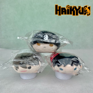 พร้อมส่ง | Noru โนรุ มือ 1 Haikyuu!!! ไฮคิว คู่ตบฟ้าประทาน ตุ๊กตาลิขสิทธิ์แท้จากญี่ปุ่น🇯🇵